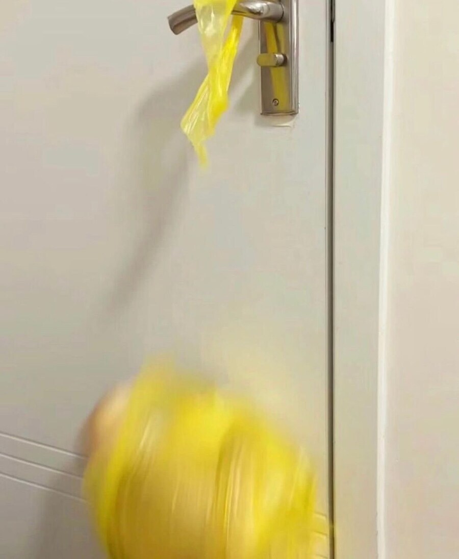 집사가 또 장난 쳐서 기분 안좋은 고양이. gif_2.jpg