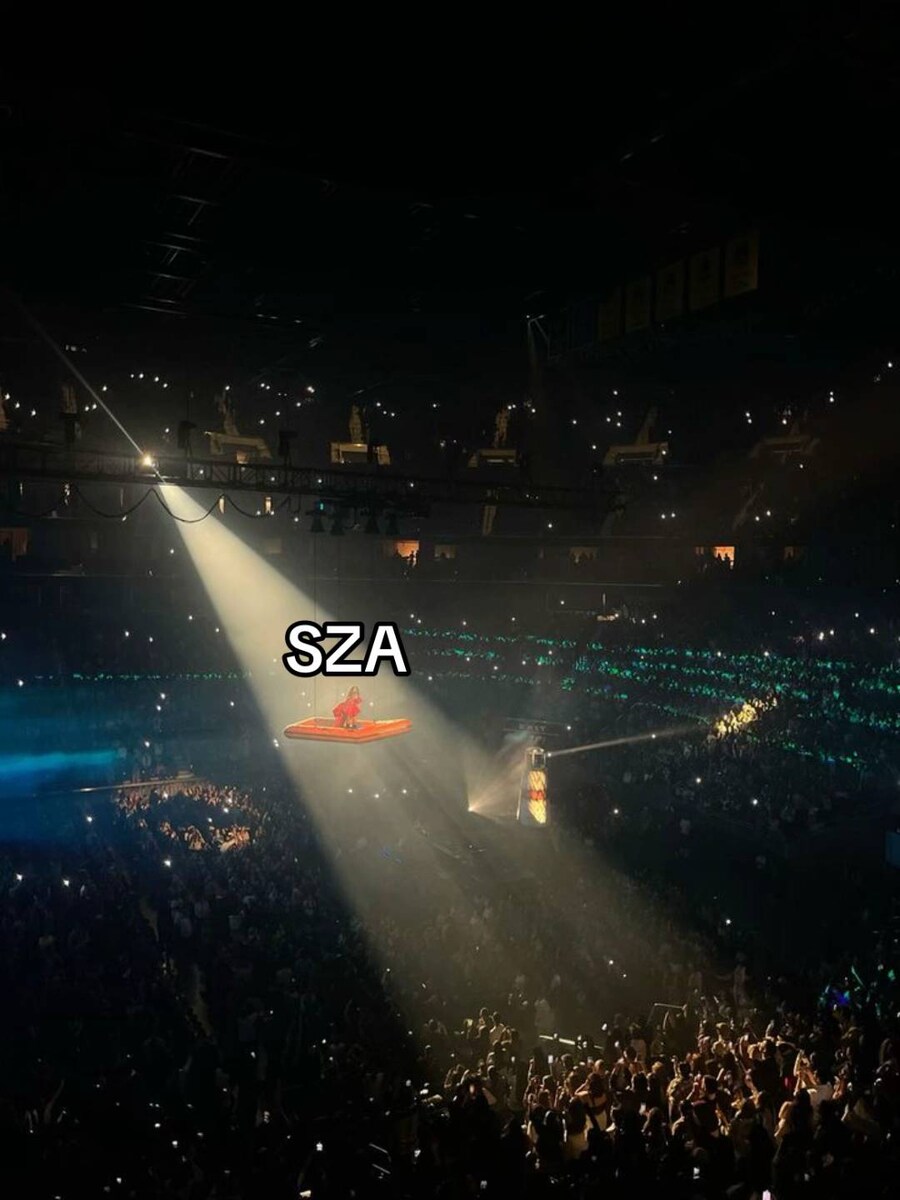 월드 스타들의 콘서트 현장_30.jpg