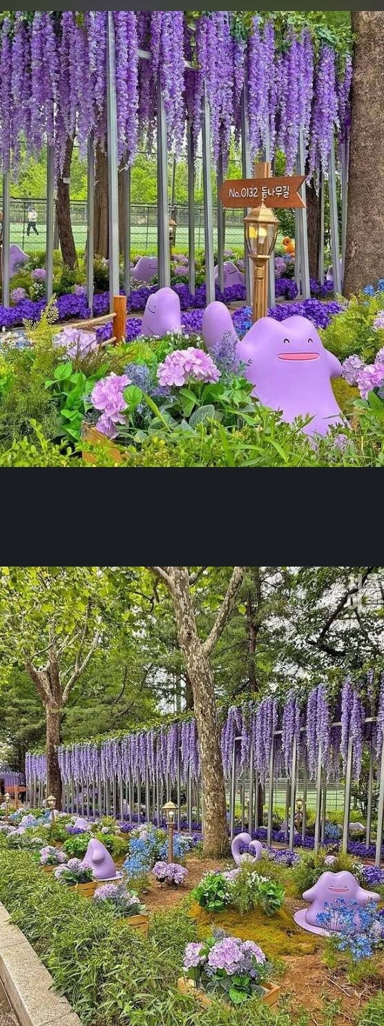 서을 보라매 공원 메타몽 가든.jpg_2.jpg