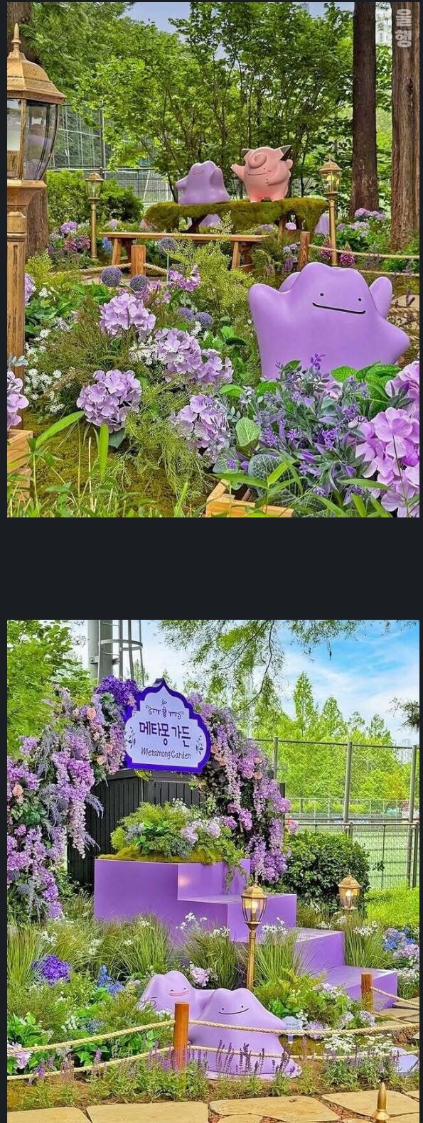 서을 보라매 공원 메타몽 가든.jpg_4.jpg