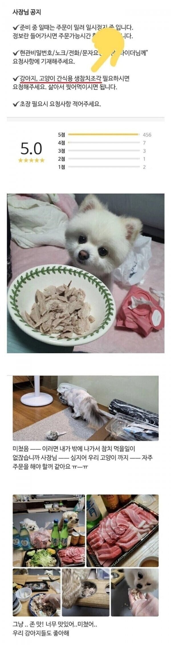 손님 반려동물까지 챙겨주시는 사장님_2.jpg