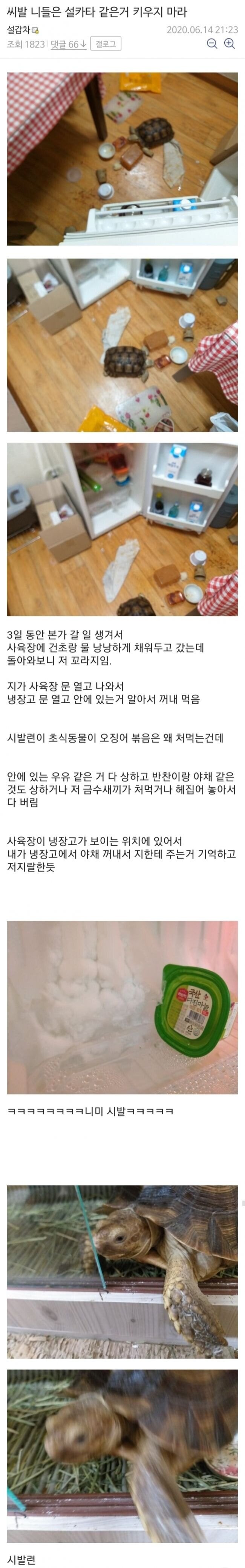 니들은 설카타 키우지 마라.jpg_1.jpg