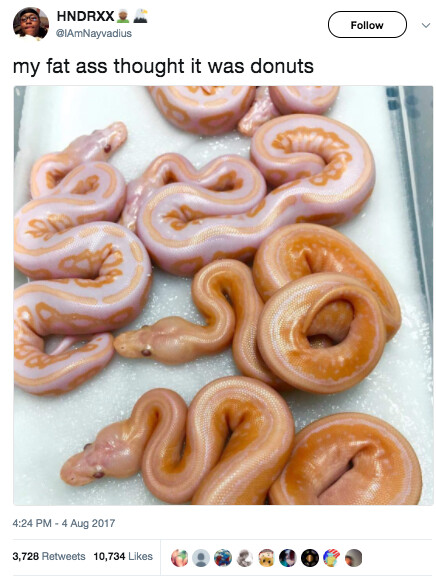 설탕을 잔뜩 코팅한 글레이즈드 도넛..._1.png