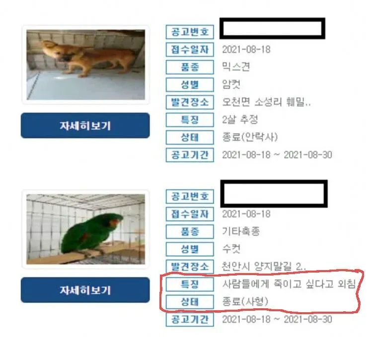 사람 죽이겠다고 소리치다가 사형당한 사례_1.webp
