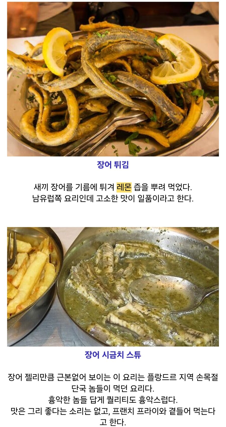 유럽의 장어요리_5.jpg