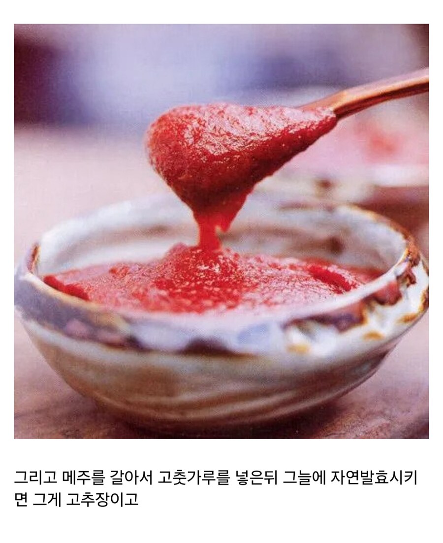 동아시아에서 가장 중요한 식재료_7.jpg