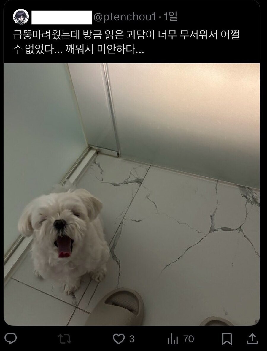 똥 마려울때 데려가면 귀여운 것_1.jpg