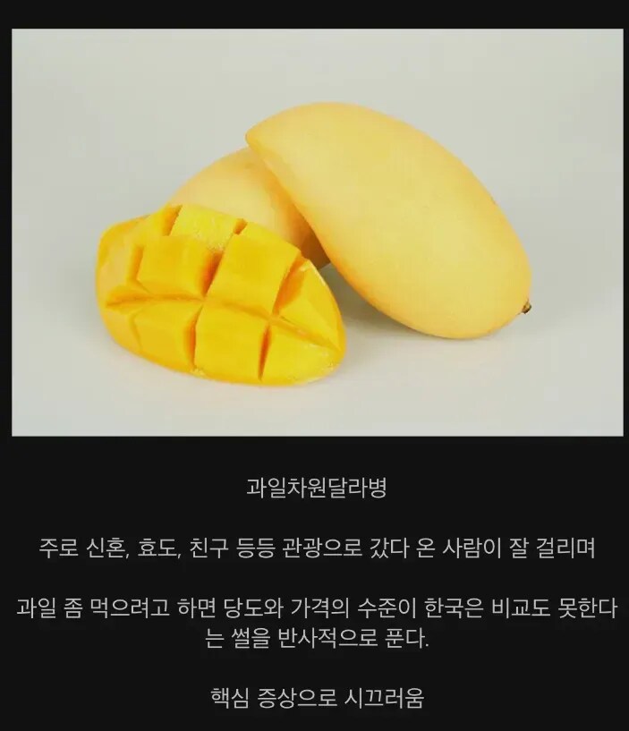 동남아에서만 걸리는 병_1.png