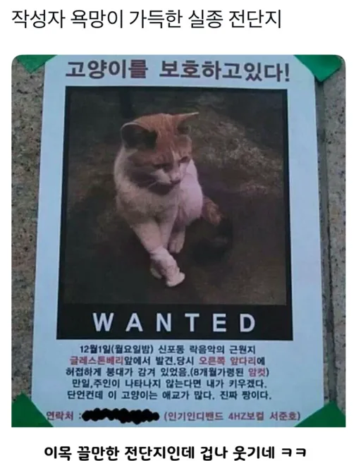 고양이 보호 전단지_1.webp