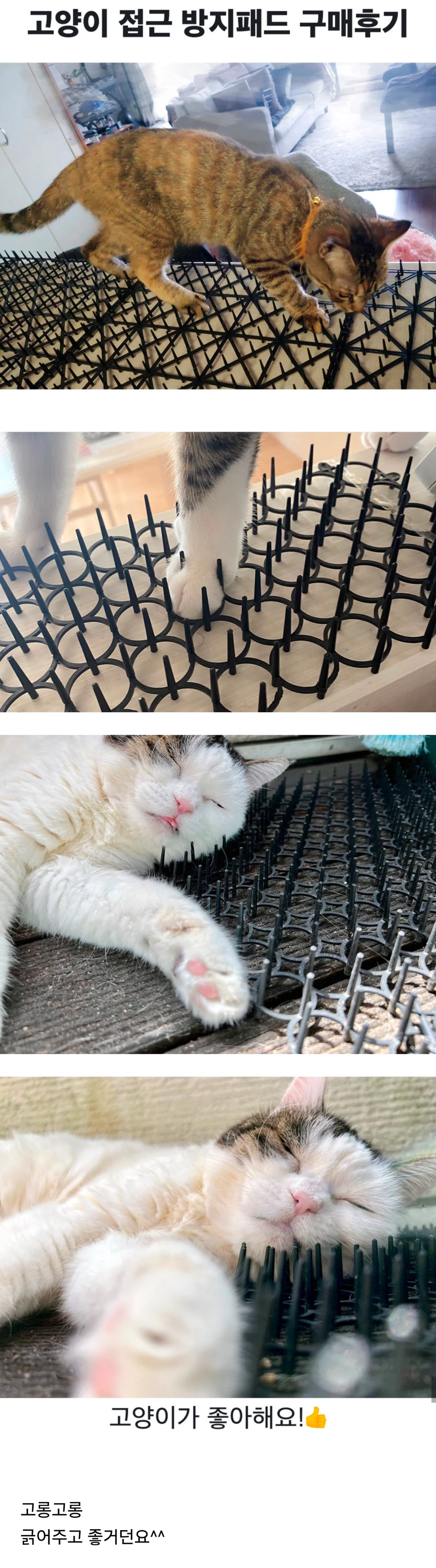 뾰족한 고양이 접근 방지패드 후기_1.webp