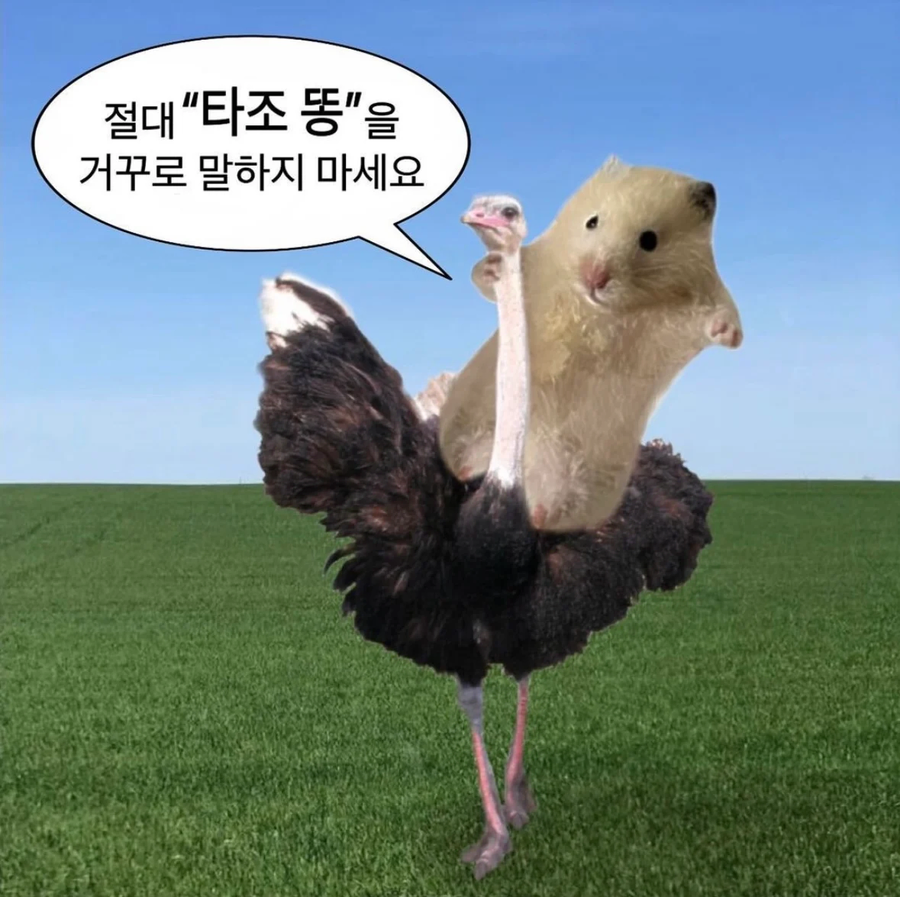 절대