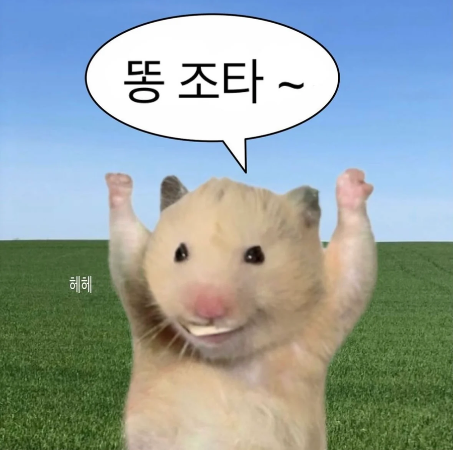 절대