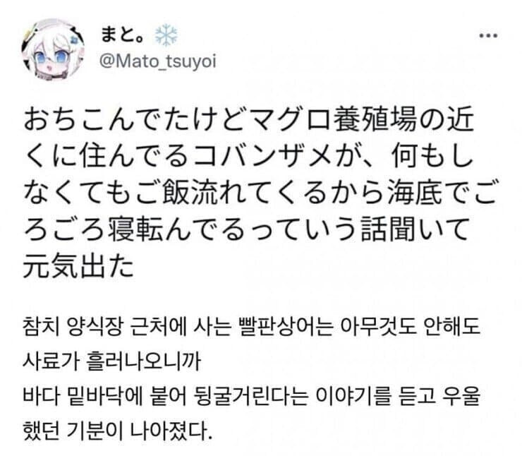 인간 덕분에 꿀빨고 있는 생물.jpg_1.jpg