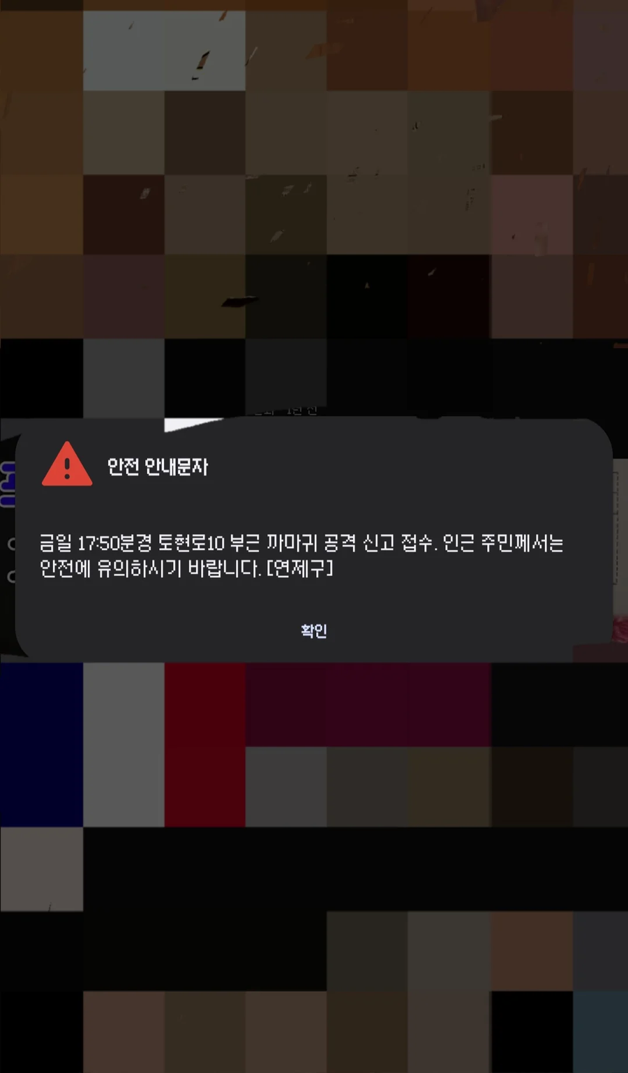 ⚠️ 까마귀를 건드리지 마십시오. ⚠️_3.webp