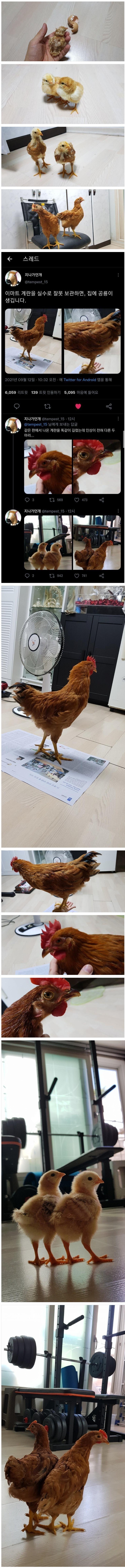 여름에 계란 사면 생기는 일.jpg_2.jpg