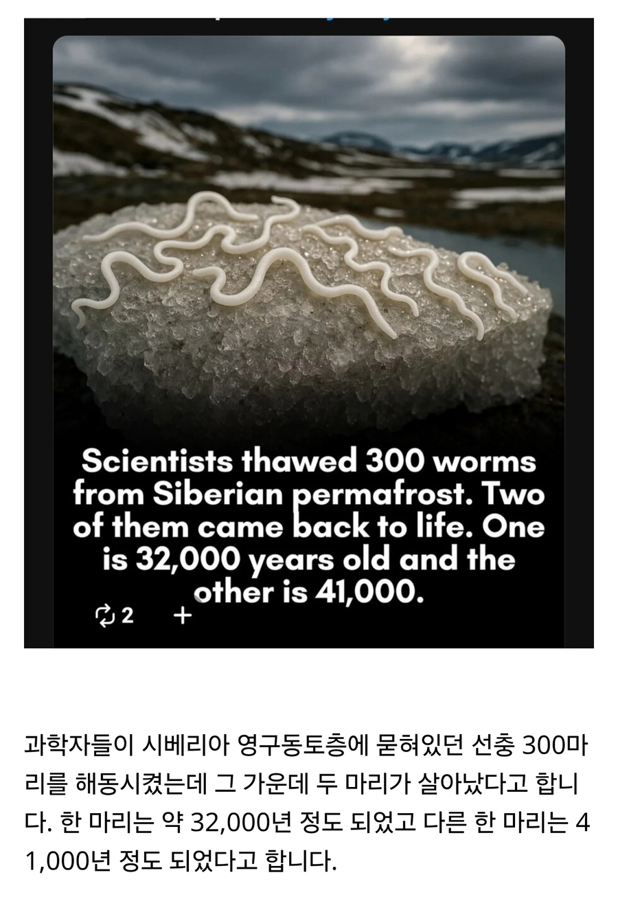 큰 일을 저질러버린 과학자_1.webp