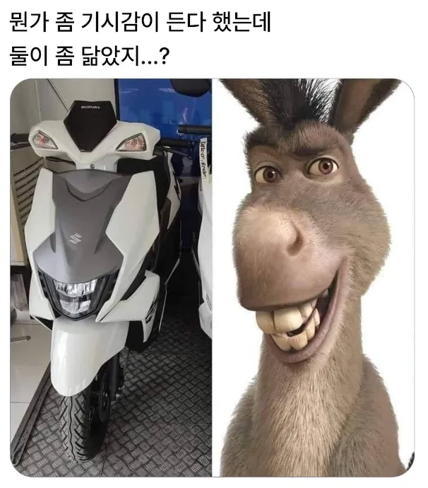 ? : 둘이 좀 닮았지...?_1.webp