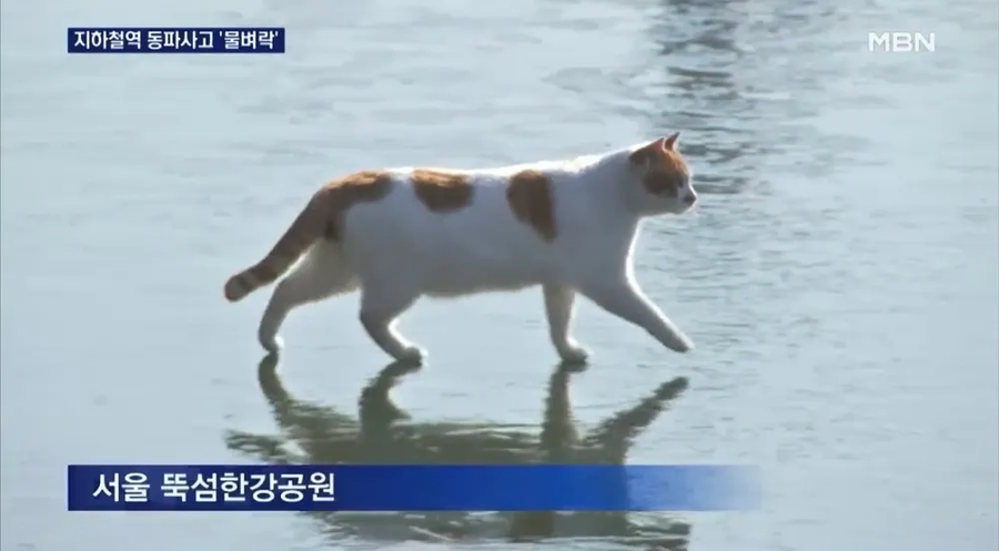 ??? : 서울은 잘 모르지만 한강에 대해선 알아요_9.webp
