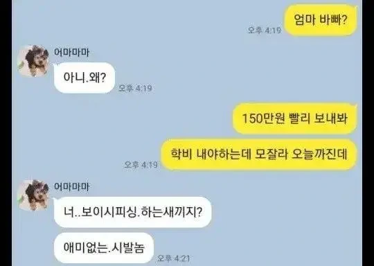 급발진 채팅 모음_7.webp