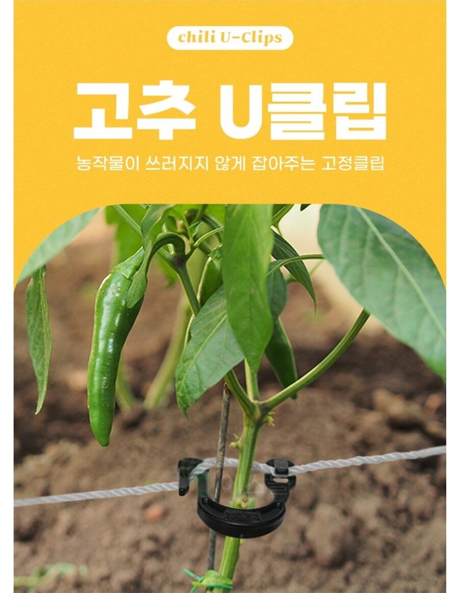 안서서 쓰는거_2.jpg