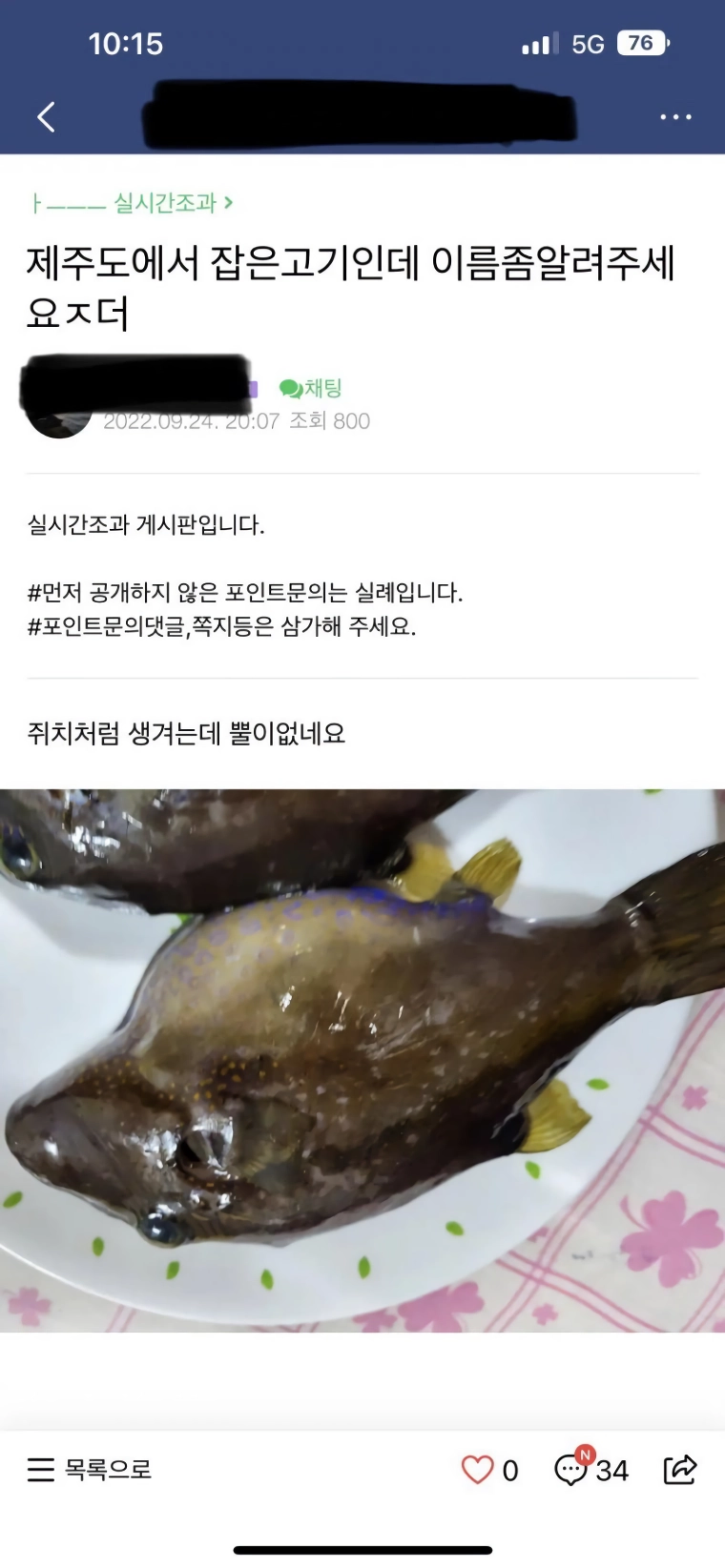 낚린이가 잡은 생선때문에 난리 난 낚시카페.jpg_1.webp