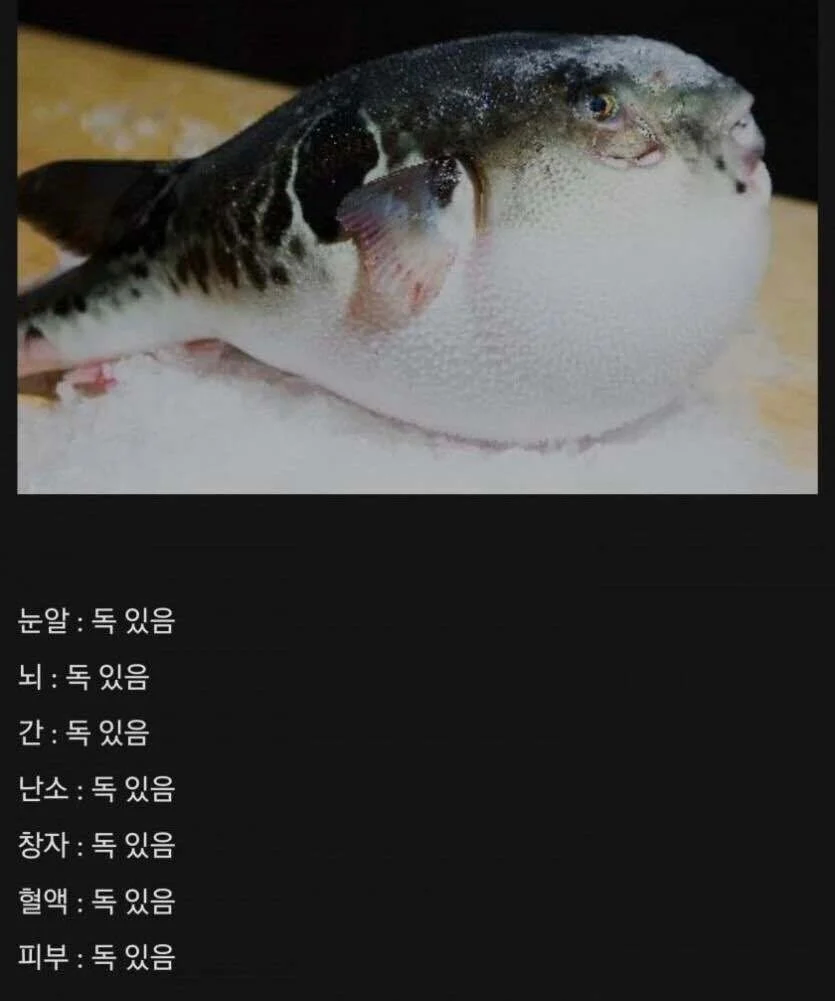 잡아먹히지 않으려고 미친듯이 진화한 생물.jpg_1.webp