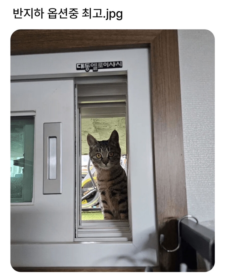 반지하 최고옵션_1.jpg