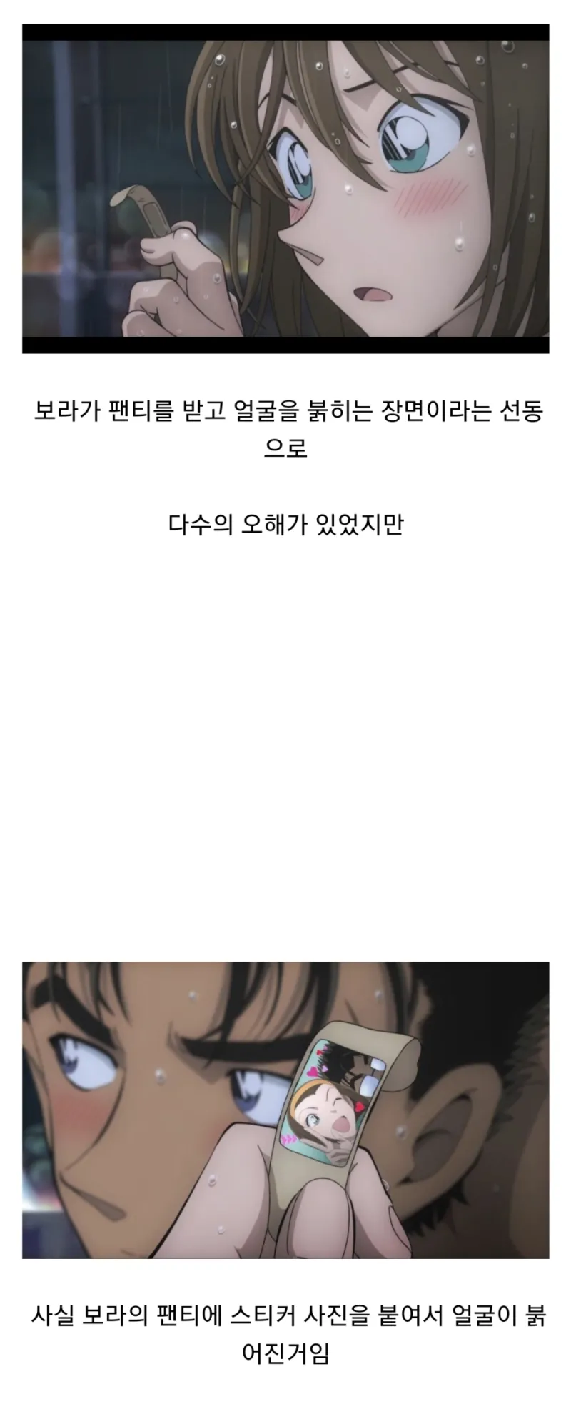 명탐정 코난 보라 팬티 짤의 진실.jpg_1.webp