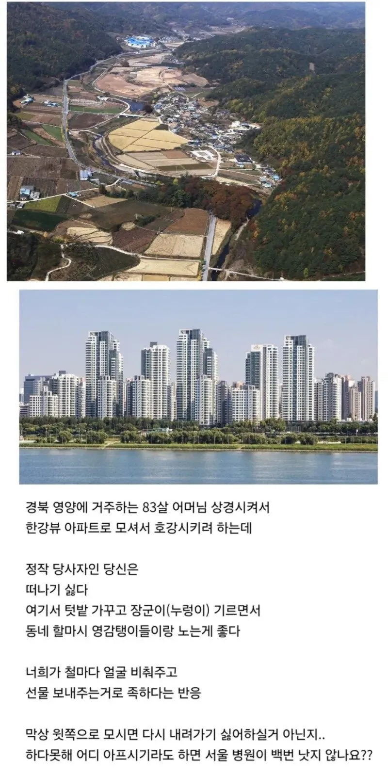 한강뷰 아파트로 이사가기 싫은 어르신.jpg_2.webp