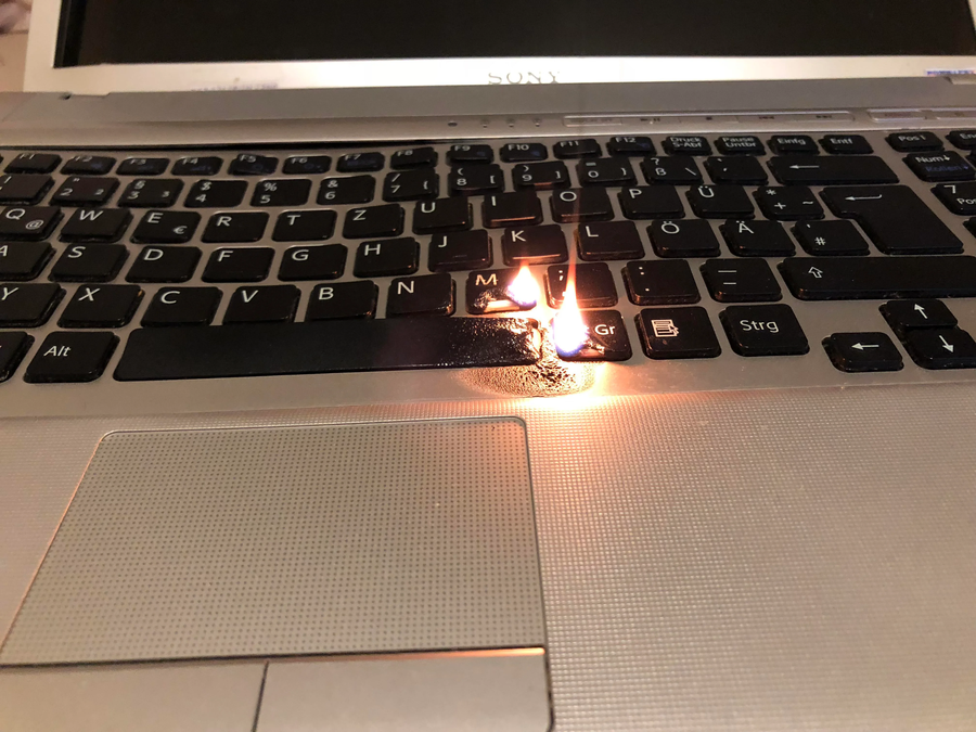 핫키.jpg_1.webp