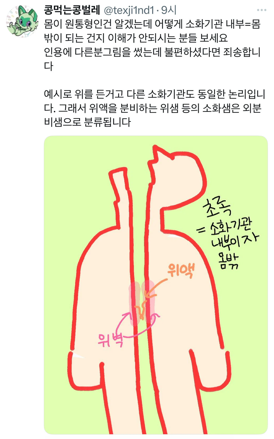 소화기관의 내부는 사실 몸 밖이다_3.webp