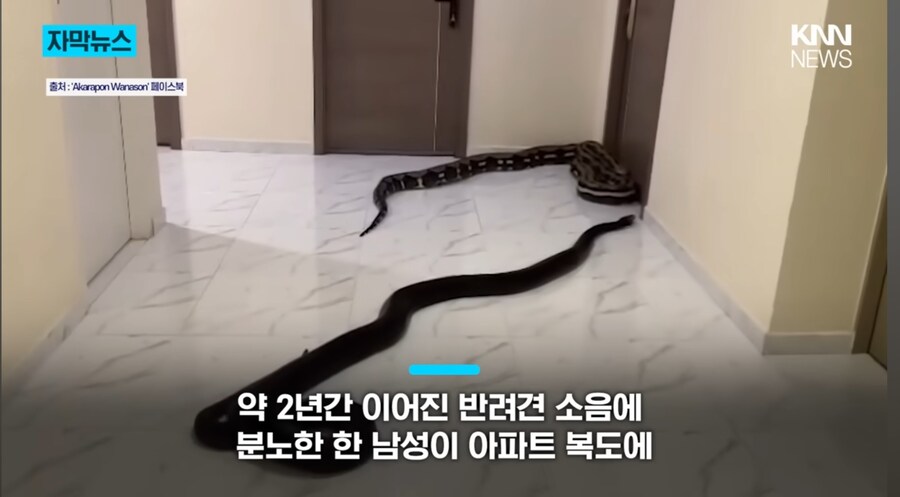 태국의 층간 소음 해결법_1.jpg