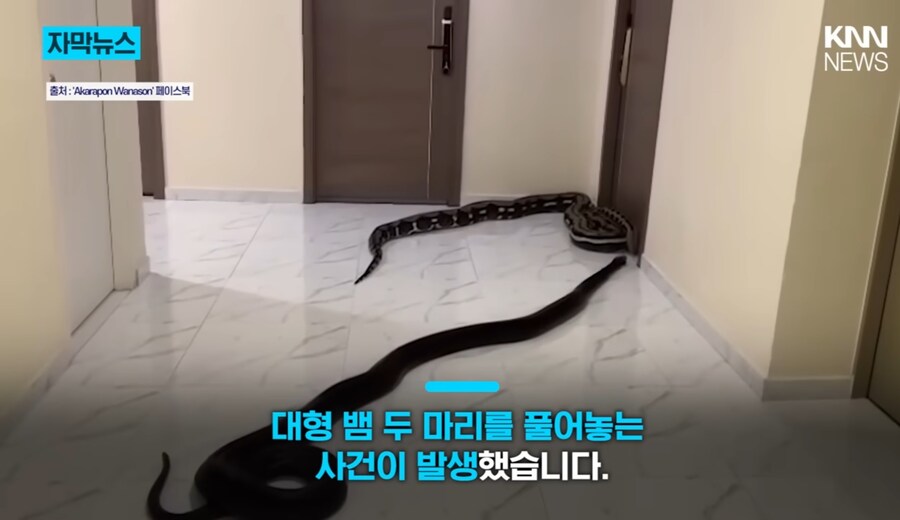 태국의 층간 소음 해결법_2.jpg