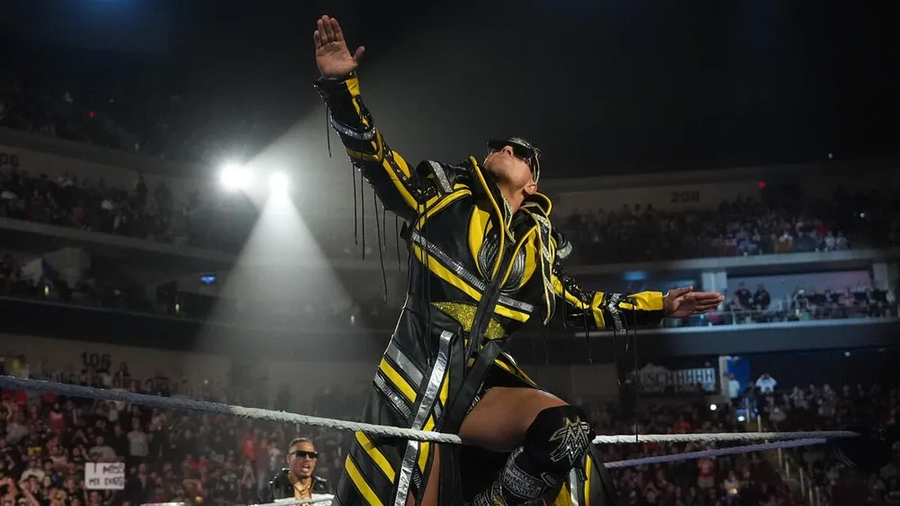 WWE) 재능이 넘치는 20년 경력 레슬러_2.webp