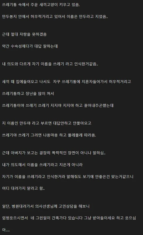 새끼고양이 이름이 쓰레기가 된 이유._1.webp