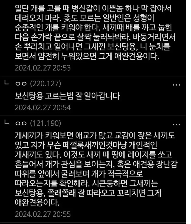 보신탕용과 애완용 강아지 구분하는 법.jpg_1.webp