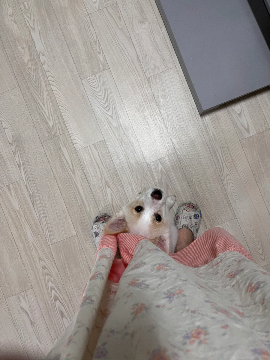 목욕 매일하면 좋지 뭘 그랴_3.webp