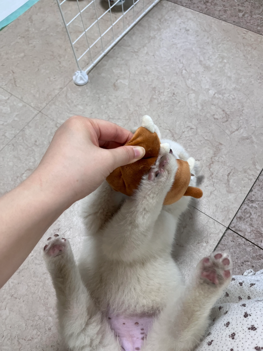 목욕 매일하면 좋지 뭘 그랴_12.webp