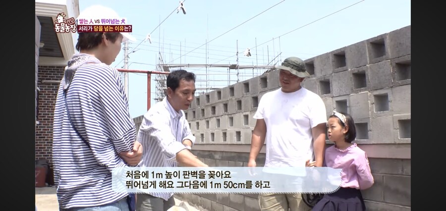 애들 체력 뺀다고 뛰어놀게 하지 말아야 하는 이유_10.jpg