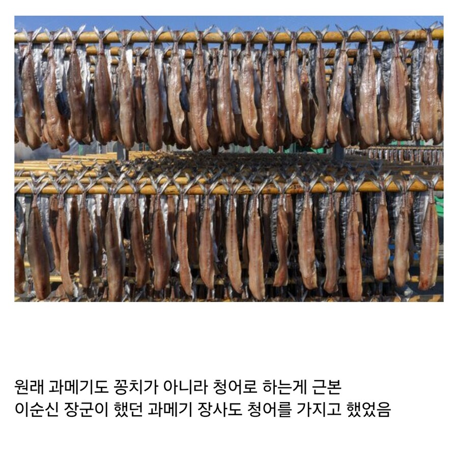 6070년대까지만 해도 한국인의 주식이었던 생선_7.jpg
