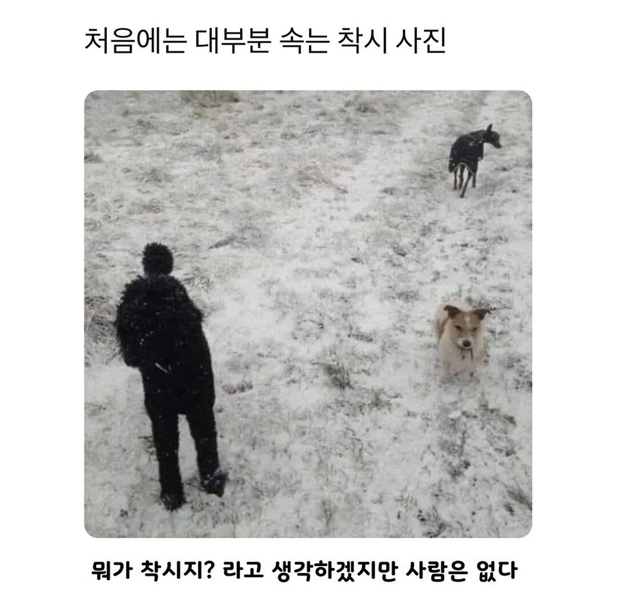 처음에는 대부분 속는 착시 사진_1.webp