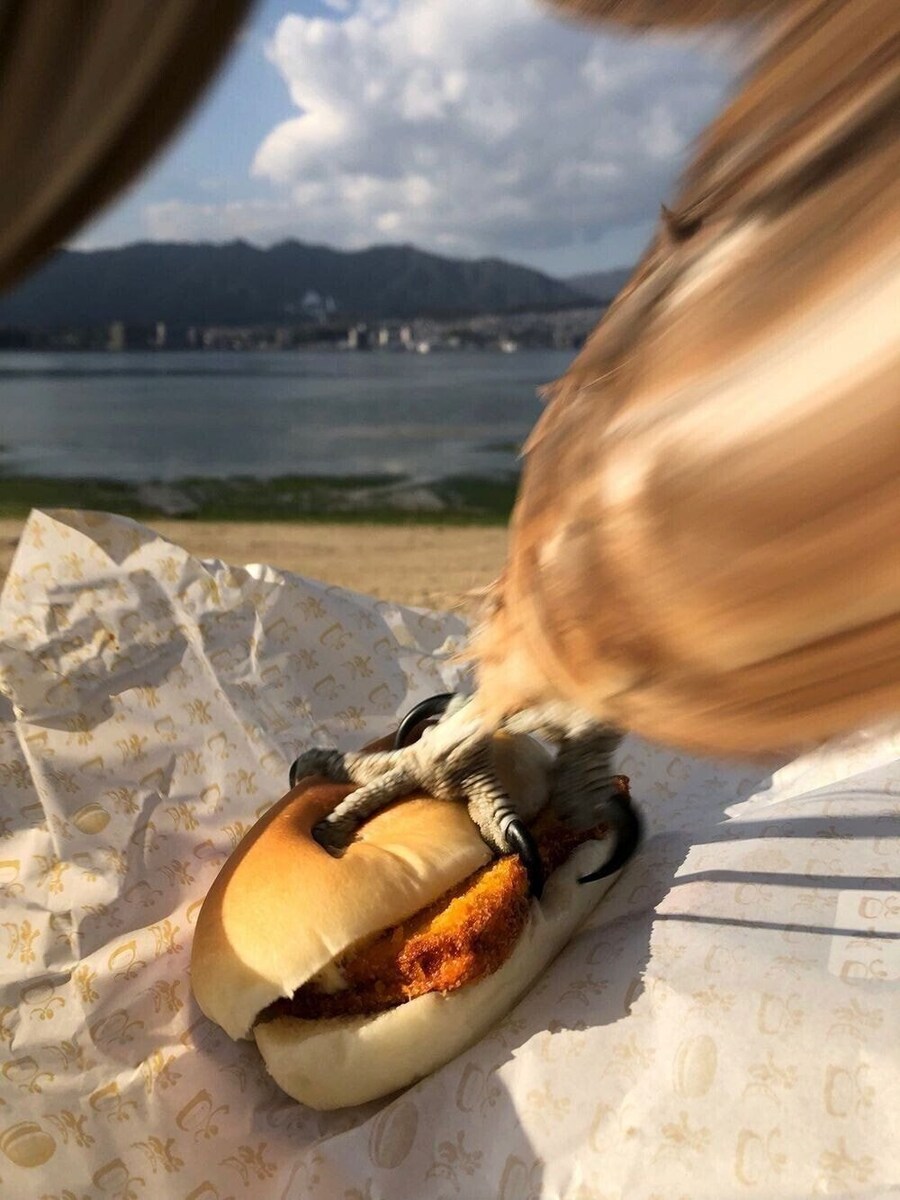 바다를 보면서 먹는 햄버거는 각별하구나.jpg_1.jpg