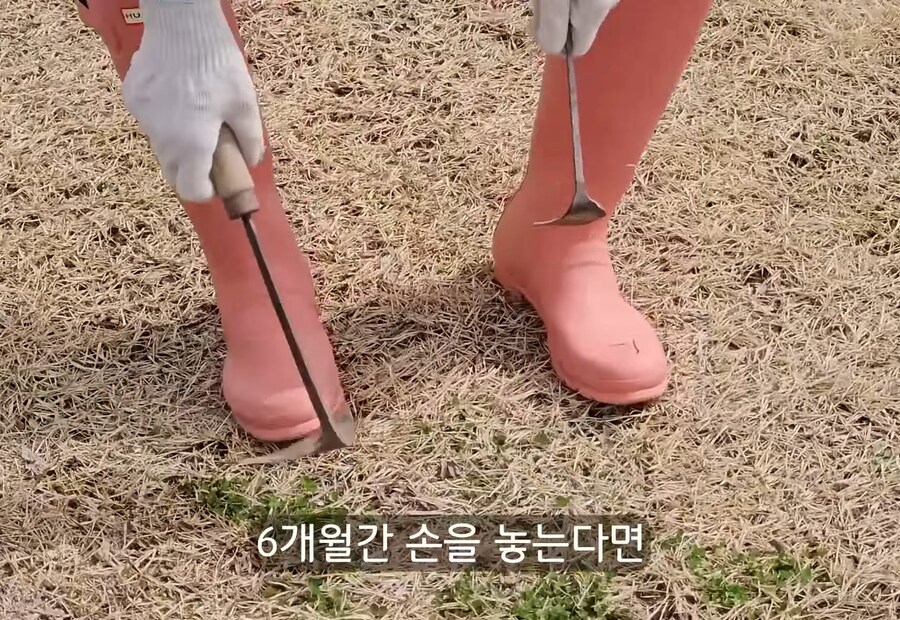 휴식을 위해 귀촌을 한 사람들이 깨닫는 것_20.jpg