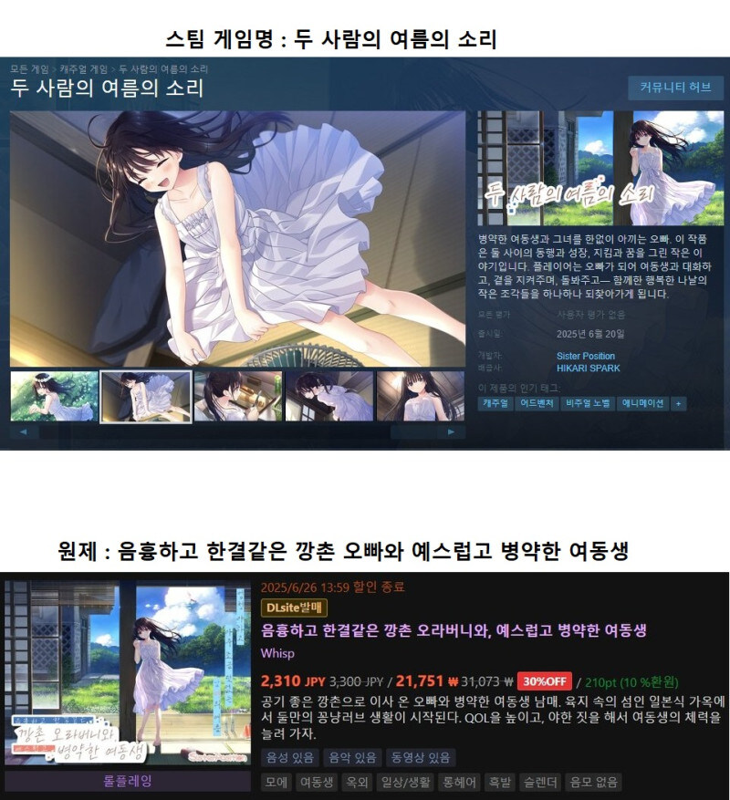 스팀에서 강제 개명 당한 게임_1.jpg
