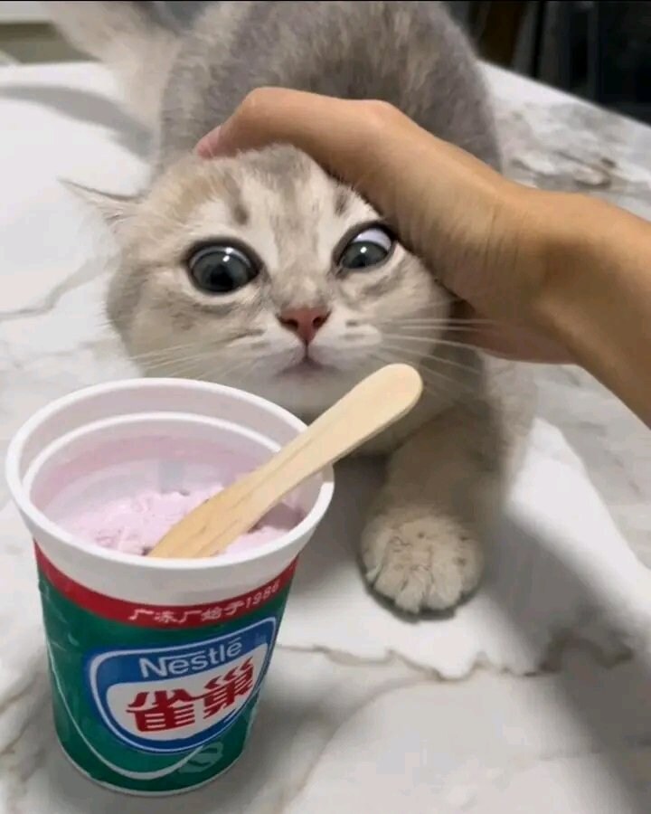 ???: 어허, 먹지마. 먹지 말라니까!_1.jpg