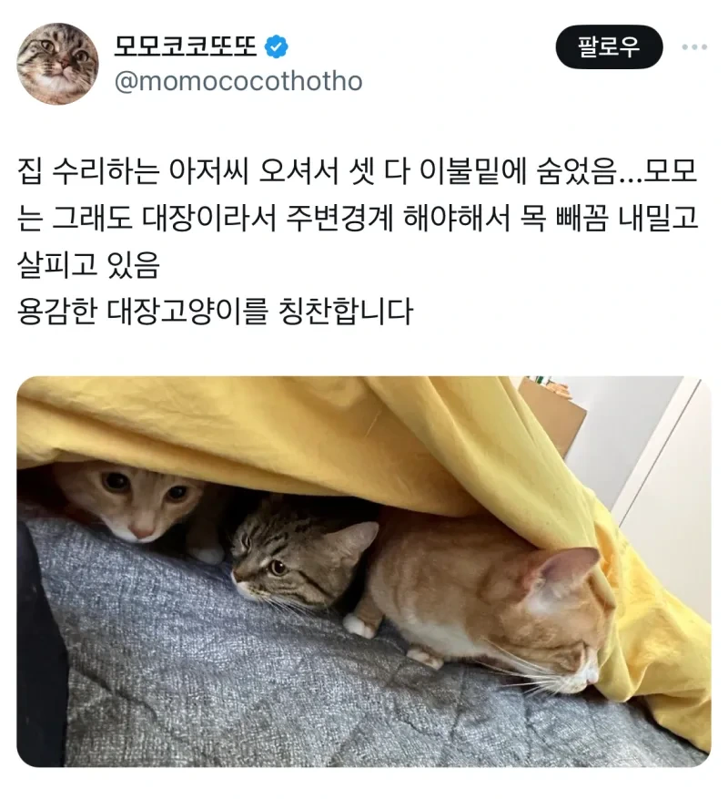 수리기사님 오셔서 셋 다 숨음_1.webp