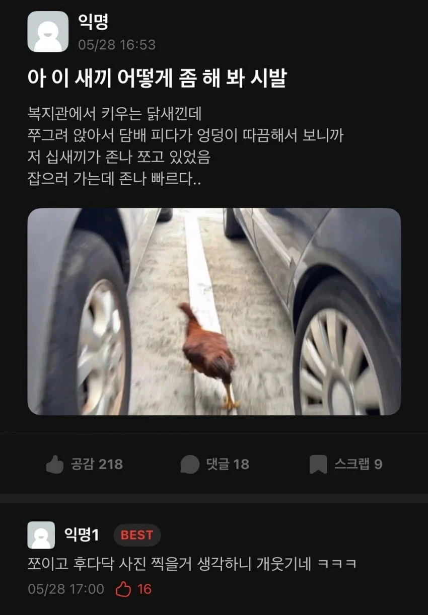 엉덩이가 따끔해 뒤를 돌아보니._1.webp