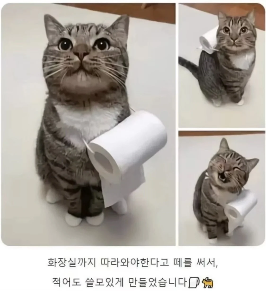 드디어 쓸모있게 된 고양이_1.webp