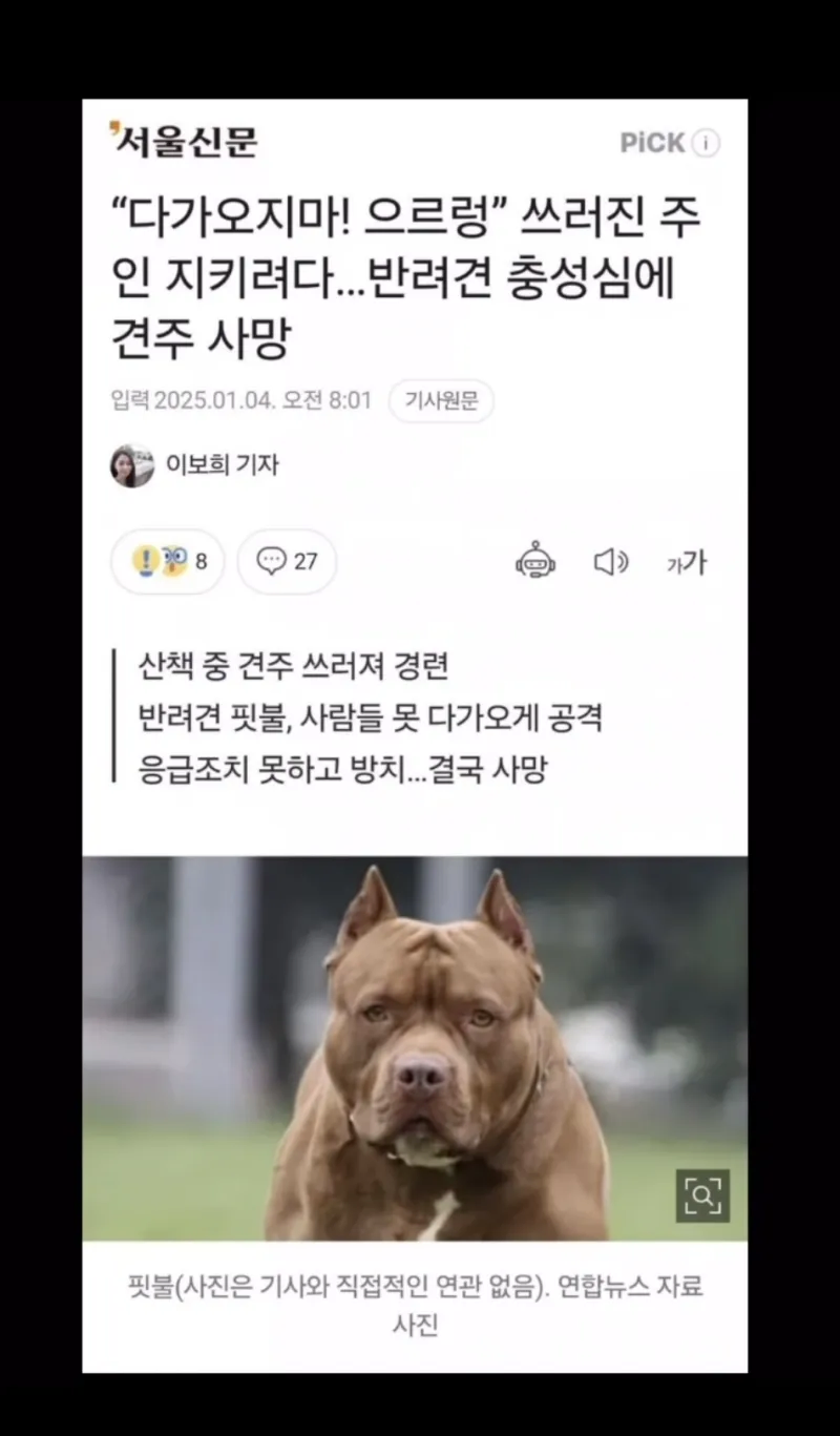 충성심높은 반려견때문에 견주 사망사건_1.webp