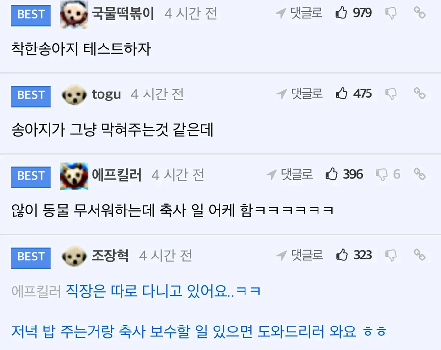 ㅈ됐네 송아지 탈출함._2.webp